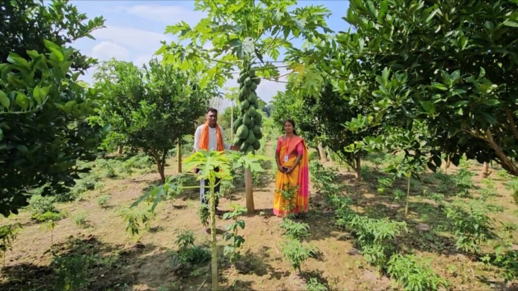 Profitable farming on 1 acre using integrated farming, high income crops, nursery production and smart water management.