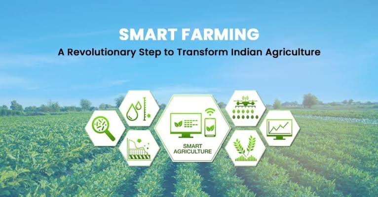 Small farmer increasing farm income through direct vegetable sales, value addition and a profitable organic farming business plan.