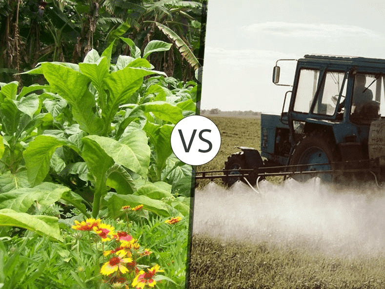 Sustainable agriculture technology and modern organic farming practices for future farming