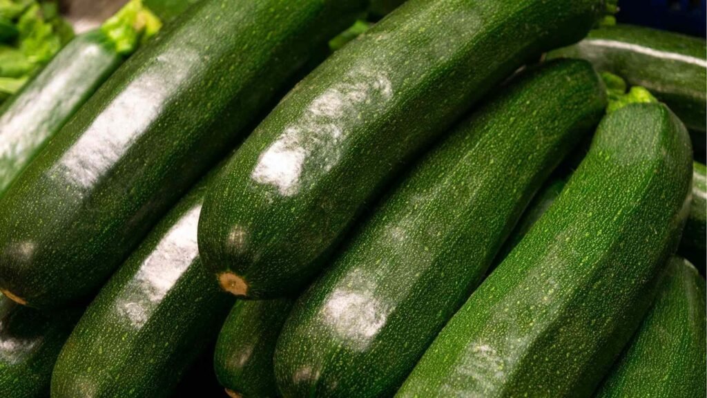 How to Grow Zucchini