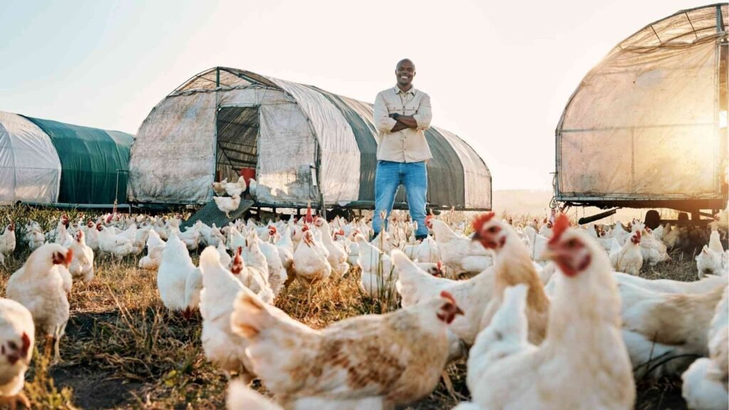Revolutionizing Poultry Farming