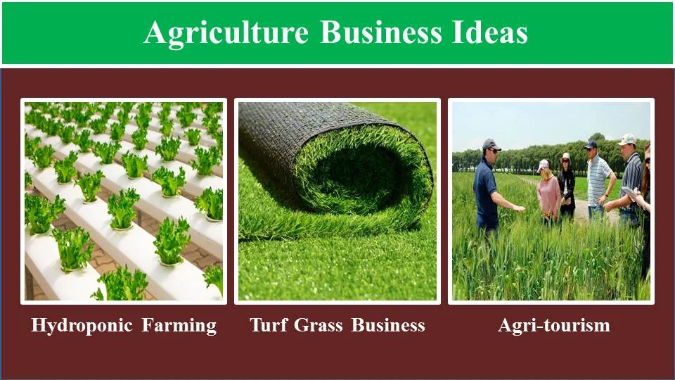 Top 10 Sustainable Agriculture Business Ideas for Lasting Profitability