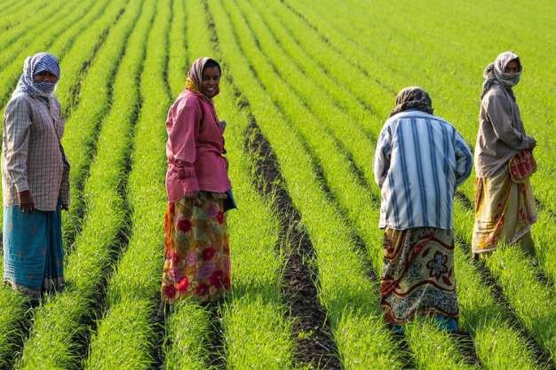Economic Survey 2024-25: Powerful Insights on Agriculture Growth, Climate Impact & Policy Reforms