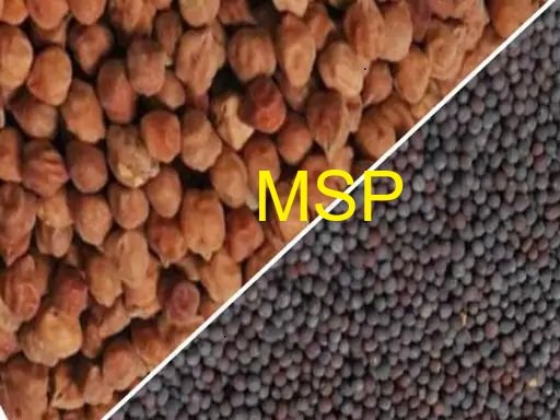 Farmers Direct Procurement of Chana, Mustard & Lentil at MSP