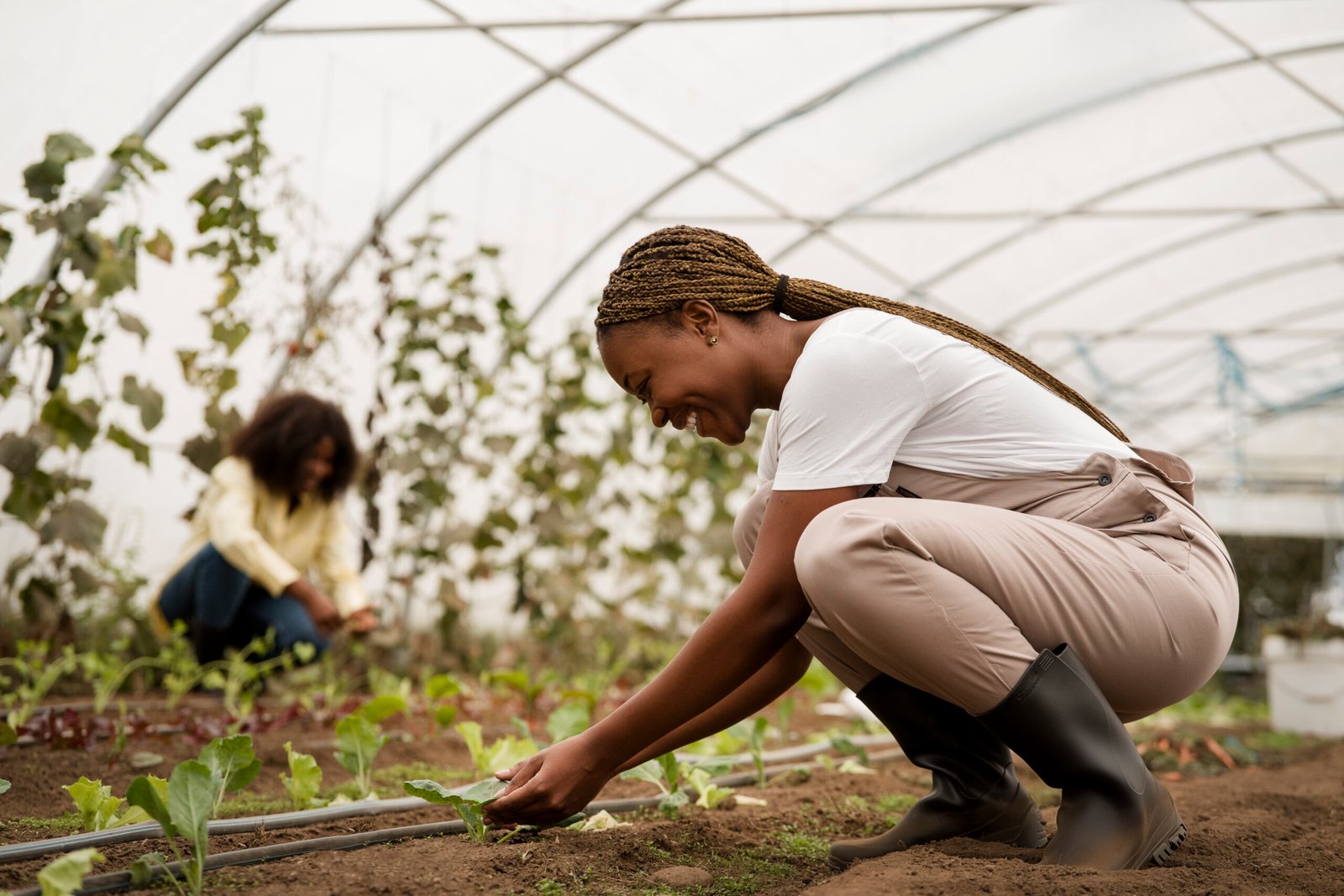 women farmers on agriculture land