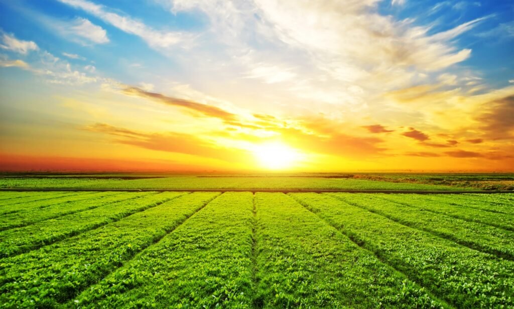soil to success organic farming 