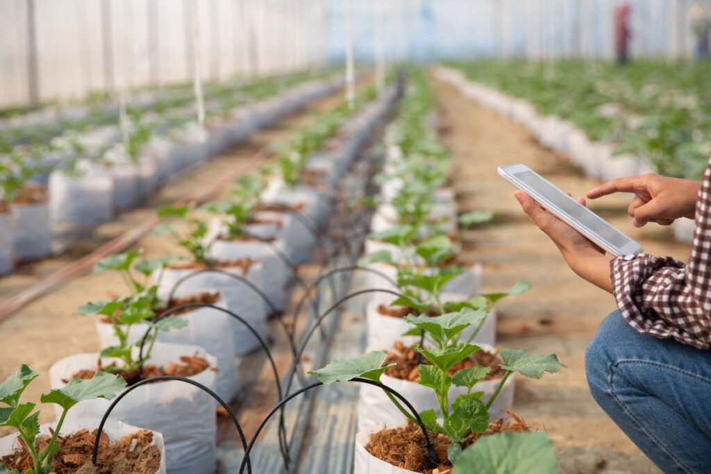 smart farming and agritech fertilizers vegetables