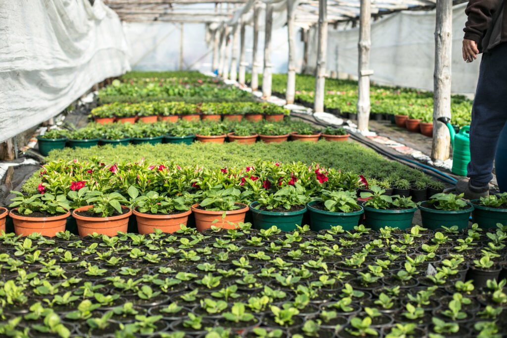 horticulture