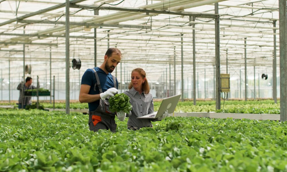 Horticulture