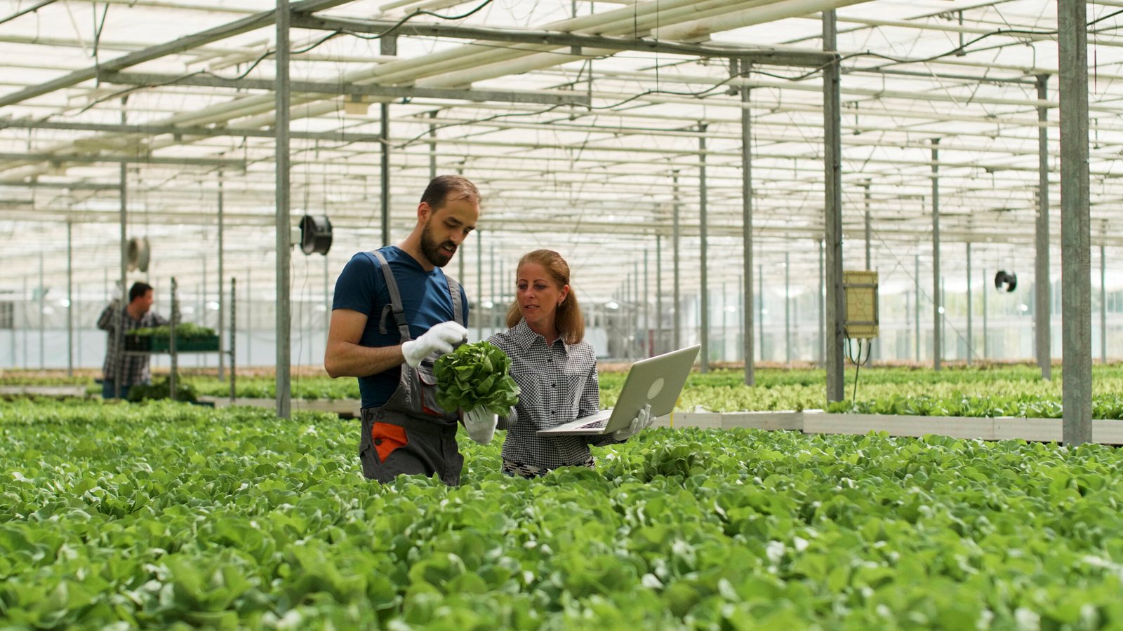Horticulture