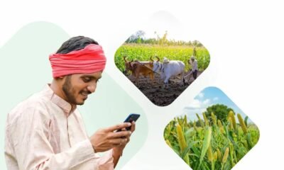 Traditional attire using a Mobile for Agricultural Subsidies in a green field, symbolizing the adoption of modern technology in rural agriculture.
