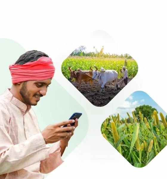 Traditional attire using a Mobile for Agricultural Subsidies in a green field, symbolizing the adoption of modern technology in rural agriculture.