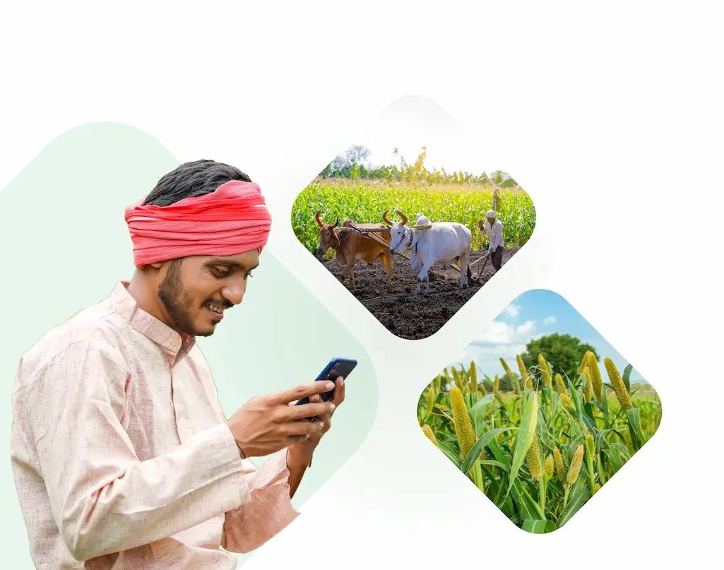 Traditional attire using a Mobile for Agricultural Subsidies in a green field, symbolizing the adoption of modern technology in rural agriculture.