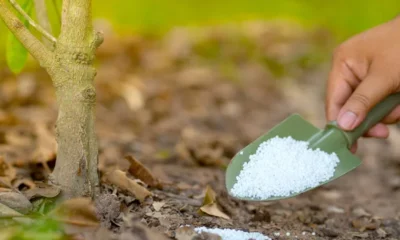 Indian Potash