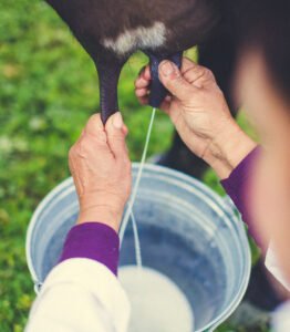 natural farming