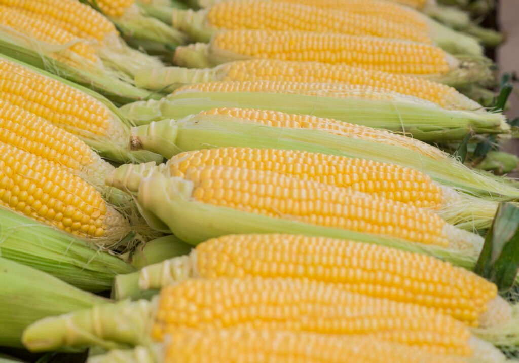sweet corn
