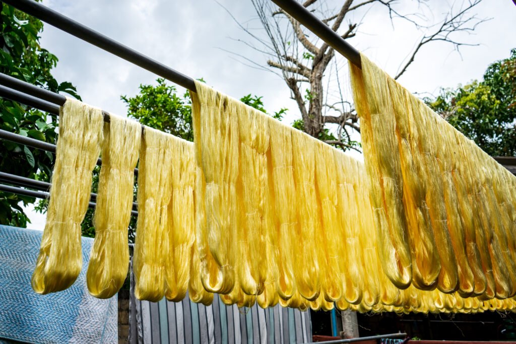 silkworm cultivation