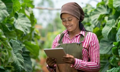 digital farmers