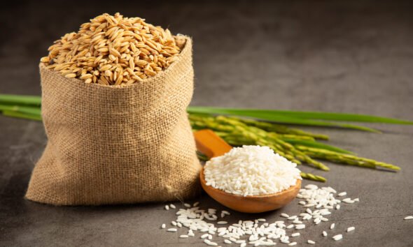 rice exports