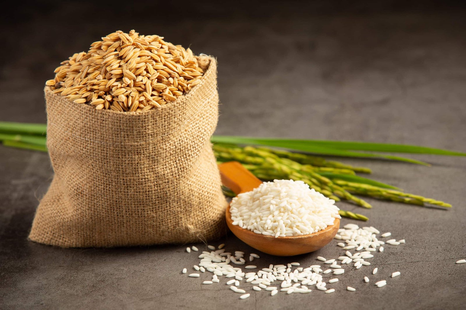 rice exports