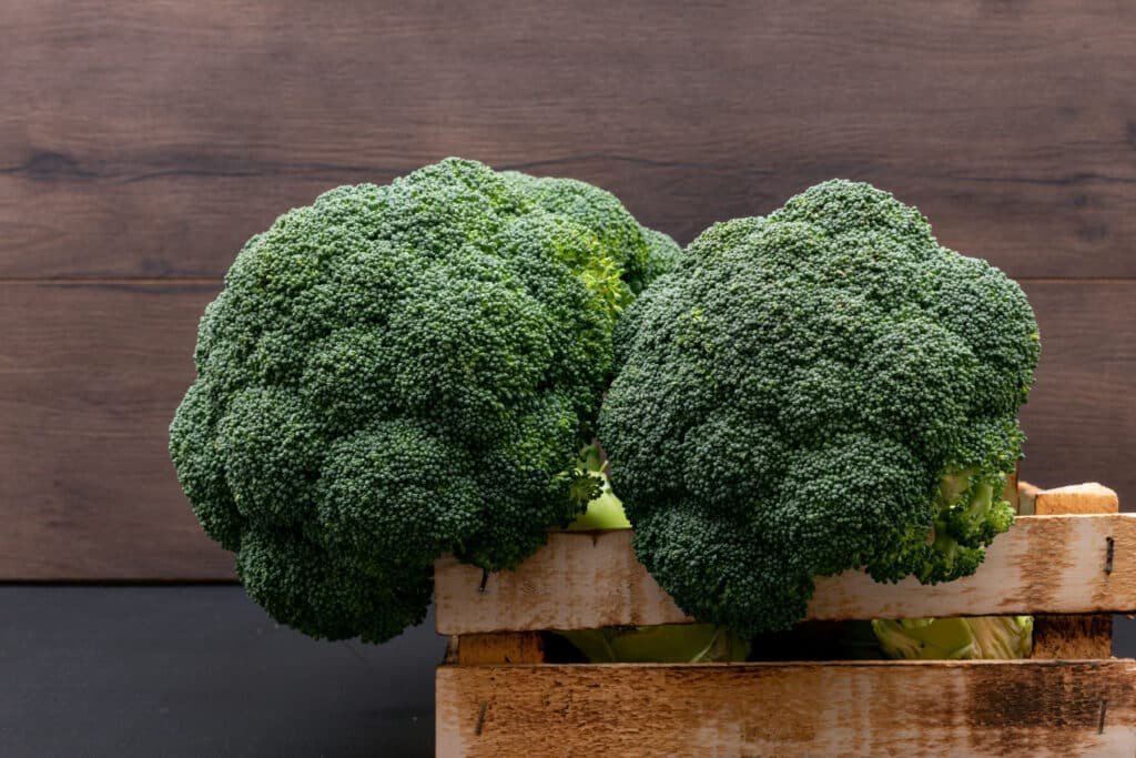 Broccoli Cultivation