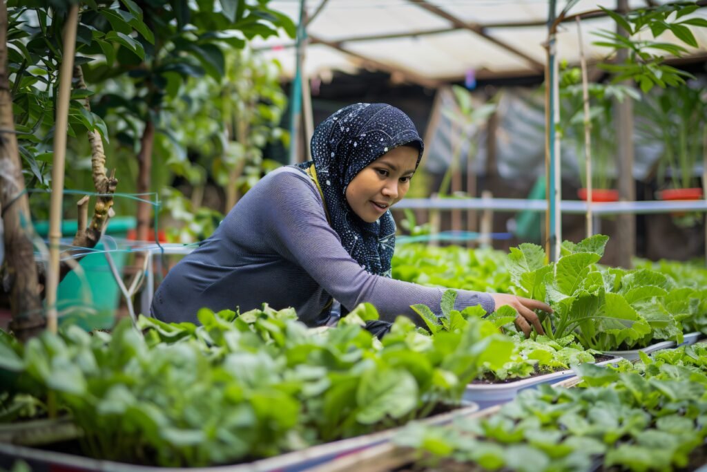 Organic Farming