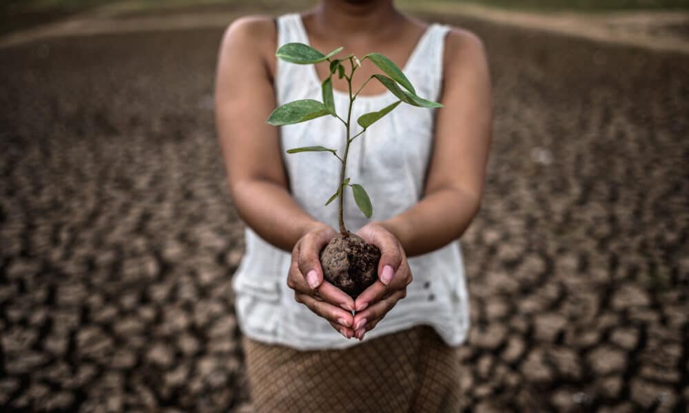 Indian agriculture