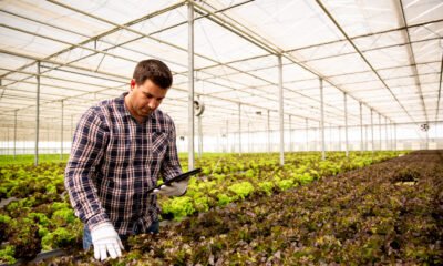 Organic Farming