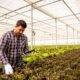 Organic Farming