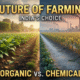 organic vs chemical fertilizers comparison in farming fields