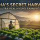 hydroponic farming profitable for small Indian farmers