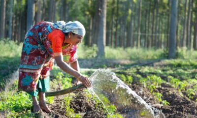 Modi government sustainable agriculture drip irrigation farming in India.