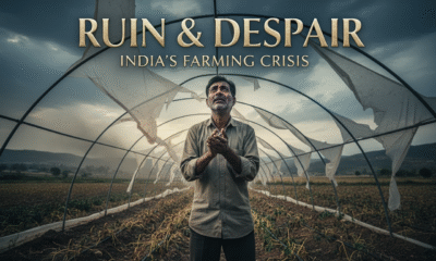 why polyhouse projects are failing in india due to poor construction and crop loss