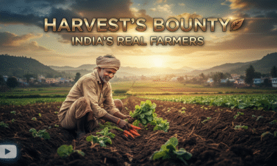 direct-to-consumer farm brands connecting farmers and consumers