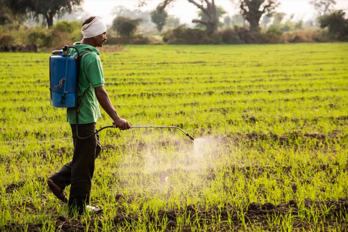 Biopesticides at scale in India being applied by farmers for sustainable agriculture.