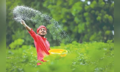 India fertiliser pricing reforms and soil health restoration