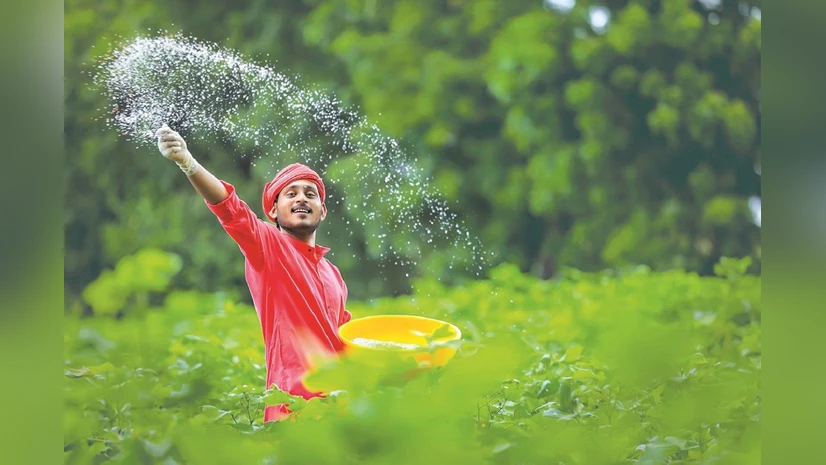 India fertiliser pricing reforms and soil health restoration