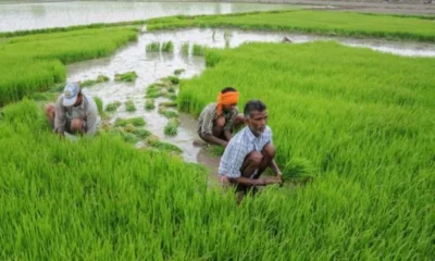 Union Budget 2026 agriculture industry demands for biofuel and farmer income growth.