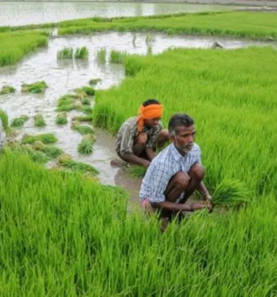 Union Budget 2026 agriculture industry demands for biofuel and farmer income growth.