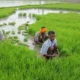 Union Budget 2026 agriculture industry demands for biofuel and farmer income growth.