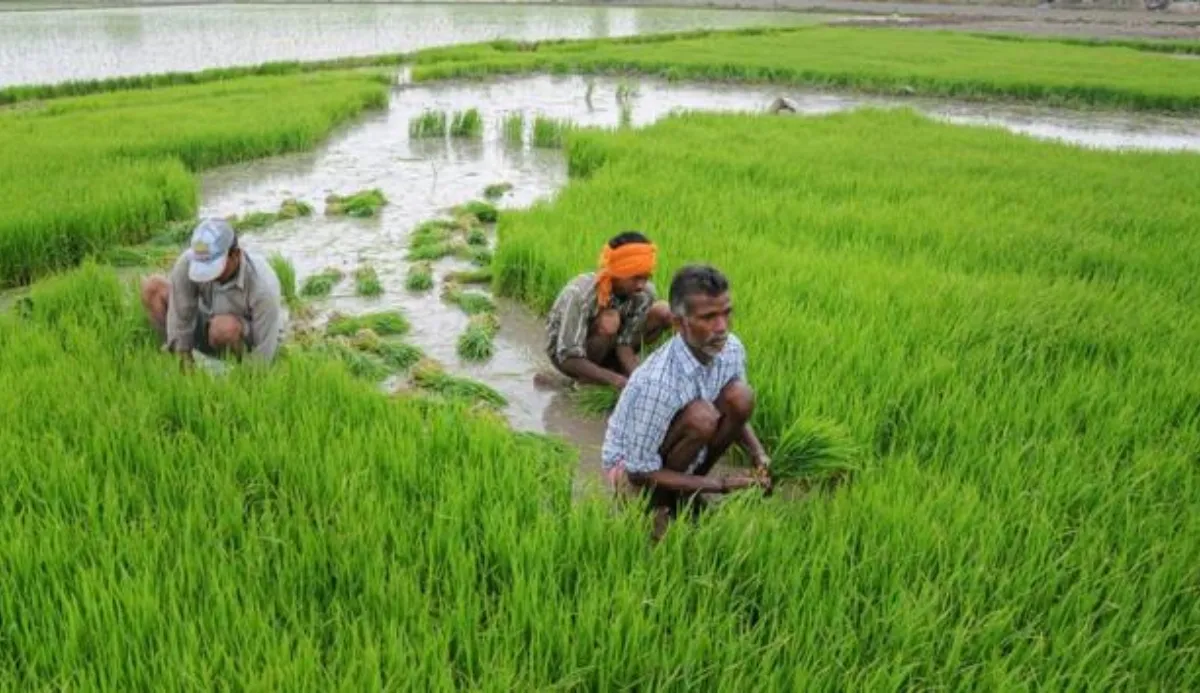 Union Budget 2026 agriculture industry demands for biofuel and farmer income growth.