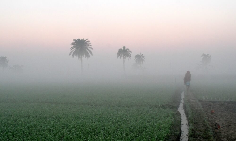 ಭಾರತದಲ್ಲಿ ಹಳ್ಳಿಗಳಿಗೆ ಮರಳುತ್ತಿರುವ ಐಟಿ ವೃತ್ತಿಪರರ ನೈಸರ್ಗಿಕ ಕೃಷಿ ಜೀವನ