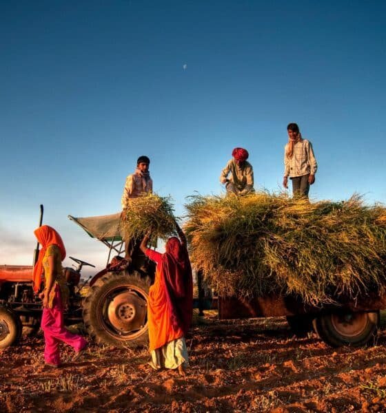 ಯೂನಿಯನ್ ಬಜೆಟ್ 2026 ಕೃಷಿ ಅನುದಾನದಿಂದ ಭಾರತೀಯ ರೈತರಿಗೆ ಬೆಂಬಲ ಮತ್ತು ಆಧುನಿಕ ಕೃಷಿ ಅಭಿವೃದ್ಧಿ
