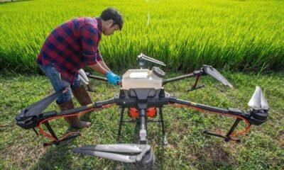 DJI agriculture drone spraying crops with precision farming technology