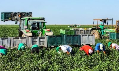 Climate smart agriculture in Europe showing healthy soil and regenerative farming practices.