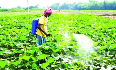 Agri and dairy protection in India-US trade deal supporting Indian farmers