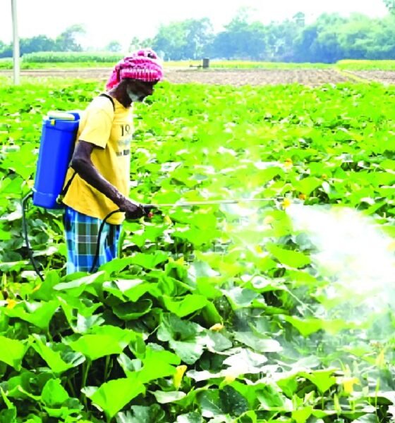 Agri and dairy protection in India-US trade deal supporting Indian farmers