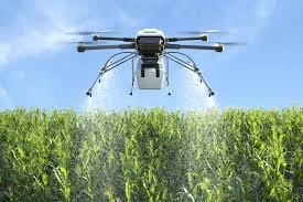AI farming tools guiding corn crop decisions in modern digital agriculture system.