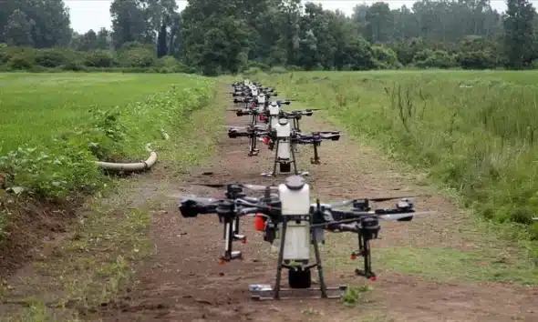 Digital transformation in agriculture using smart farming technology and drone monitoring crops