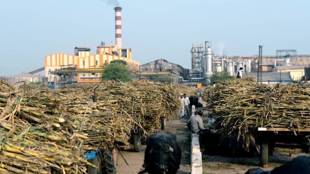 Indian sugar stocks rally due to ethanol demand and oil price surge
